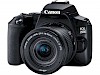Canon EOS 250D Review